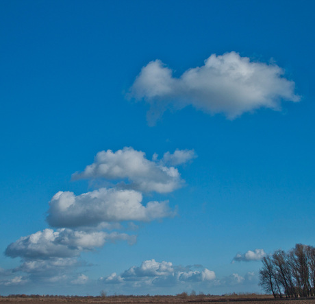 Wolken bij de Rijn.jpg