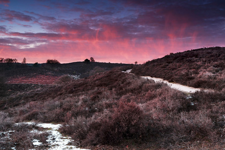 Pink hills