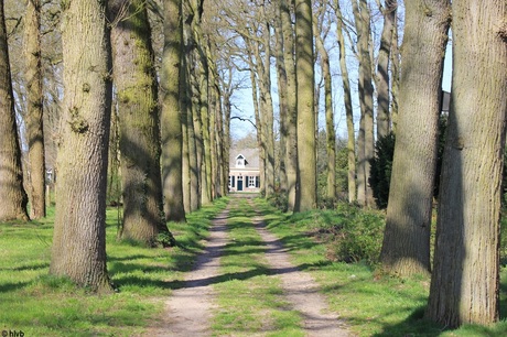 Huis in Heerde