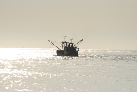 zommerhitte op zee