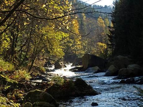 Oker in de herfst