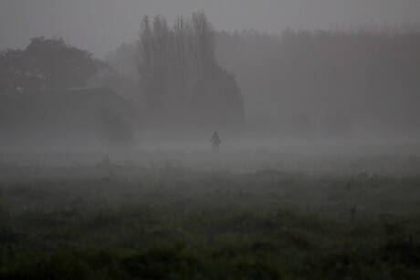 Eenzaam in de mist.