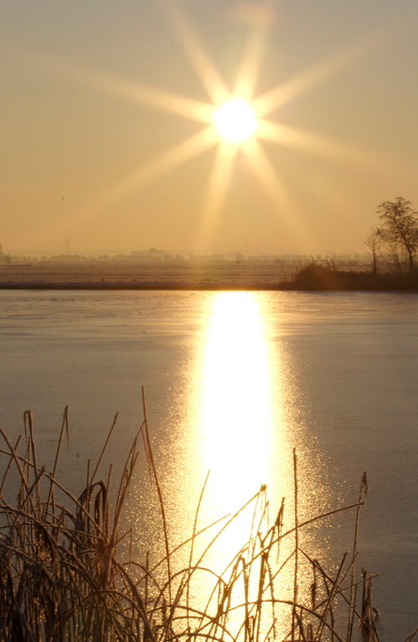 Zon op het ijs