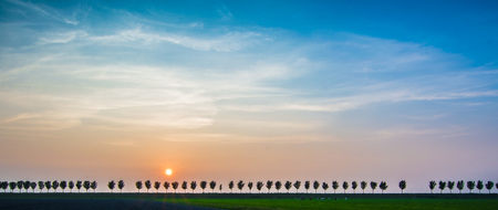 Tree in a Row. - - - foto door DieLei op 26-07-2016 - deze foto bevat: lucht, wolken, zon, dijk, panorama, natuur, licht, avond, zonsondergang, landschap, heide, tegenlicht, bomen, polder