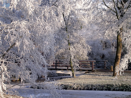 Voorschoten in de winter