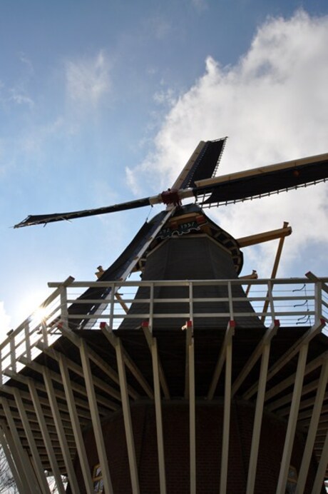 Molen in de Keukenhof