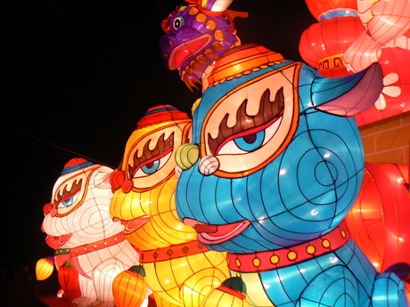 China, festival of lights in Emmen