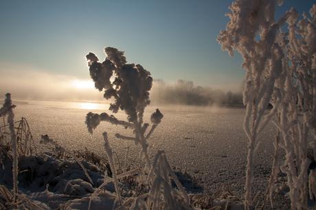 winter wonder land