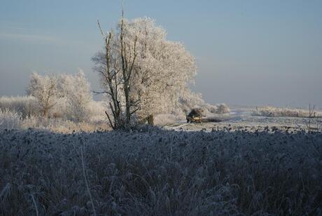 winter in Nederland