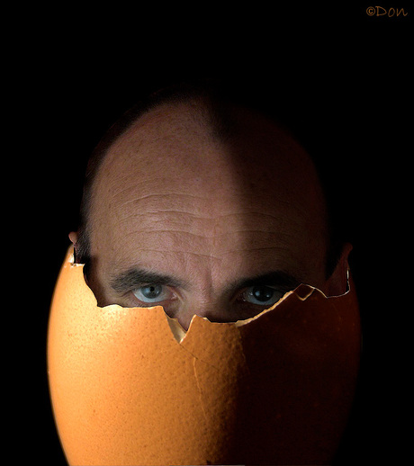 Het Ei