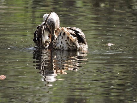 Wassen moet ook gebeuren