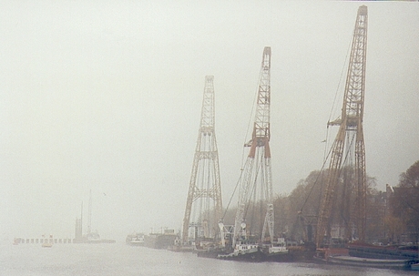 bokken in mist Noordereiland Rotterdam 1992