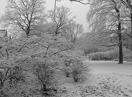 WITTE NATUUR DEC.2007