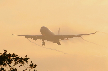 Dusk Landing