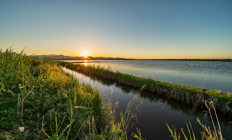 Zonsondergang op de rijstvelden van Pego