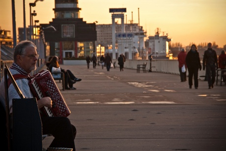 Antwerp Accordionist