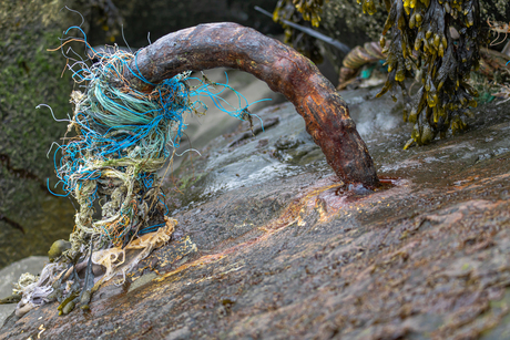 rots in de branding 2