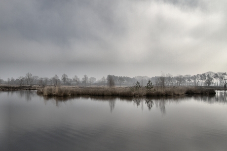 Hatertse vennen