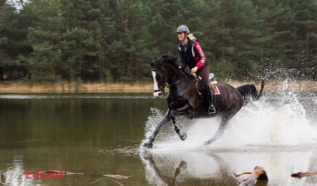 Waterhorse