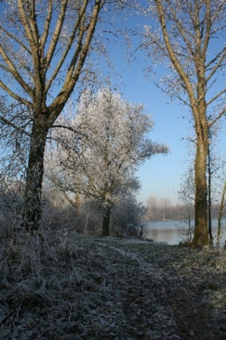 Vormerseplas te Wijchen