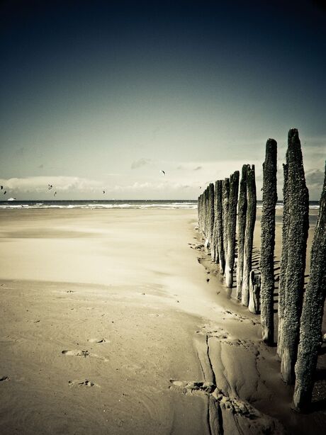 Cap Gris-Nez 2