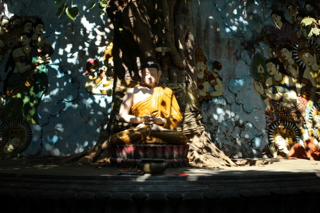 Budha in de schaduw