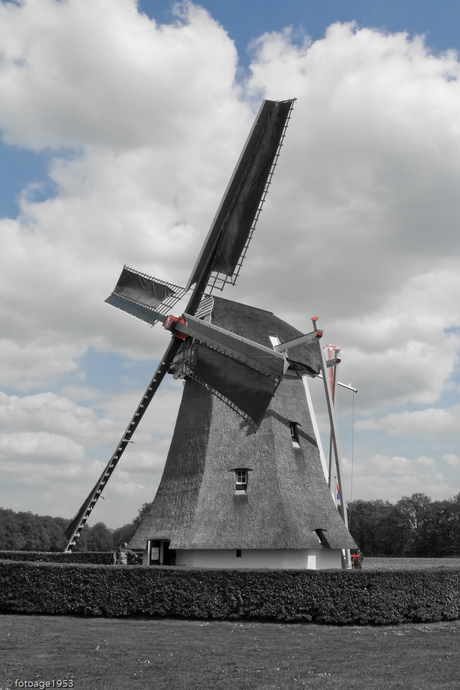 Hollandse molen
