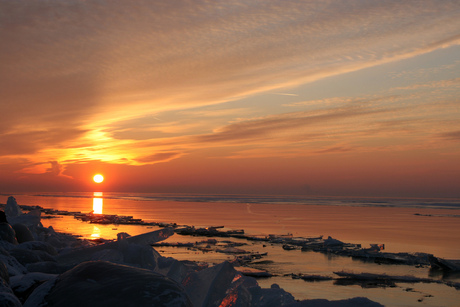 Zonsondergang Oostvaardersdijk