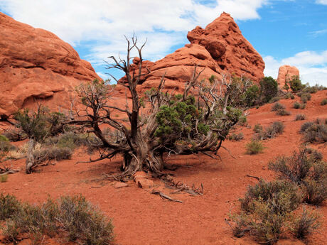 Bryce Canyon, VS