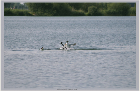 Love is worth fighting for