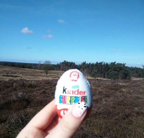 Kinder surprise