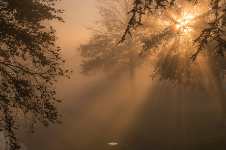 Explosion of light....