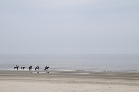 Paardrijden op Ameland