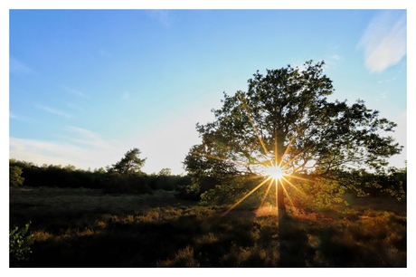 Zonsondergang in Borger (Drenthe)