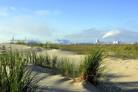 Maasvlakte 2