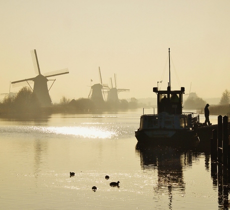 Kinderdijk