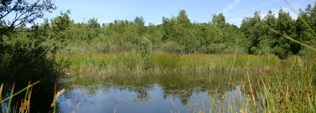 Panorama &quot;Wyldemerk&quot;