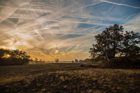 Kootwijk Veluwe