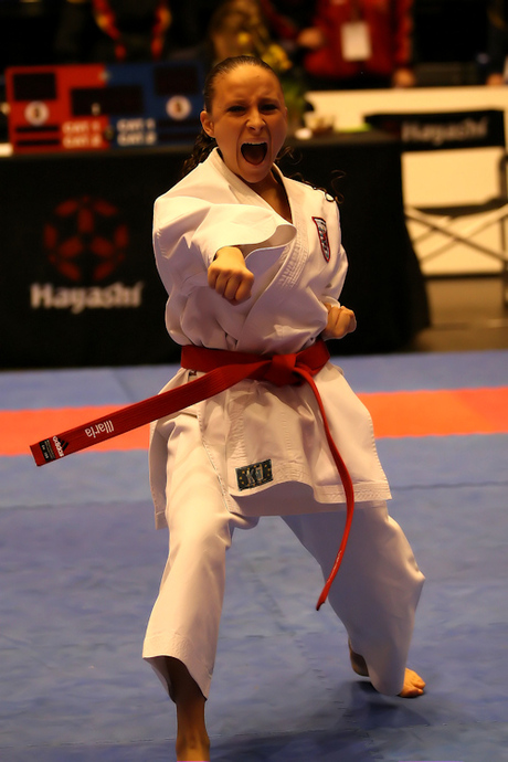 Dutch Open Karate