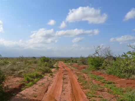 Heimwee naar Kenia