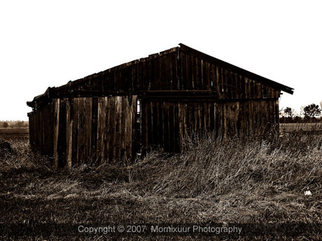 Derelict shed