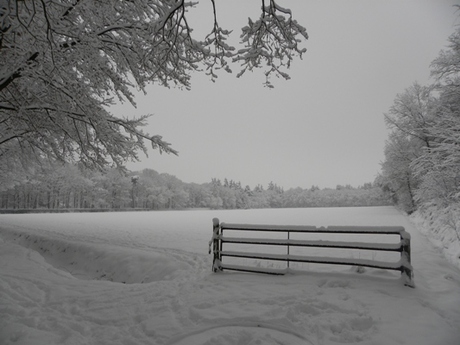 sneeuw 2010