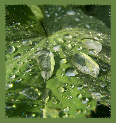 na regen komt zonneschijn