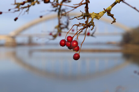 besjes bij de brug