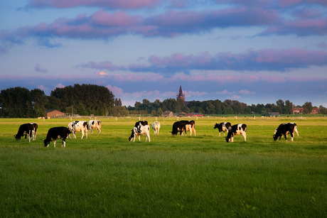 Weilanden bij Nes ad Amstel