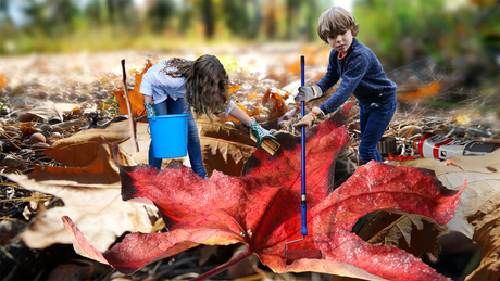 Herfst, veel werk voor de twins