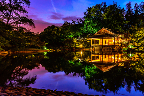 Sunset Japanse Tuin