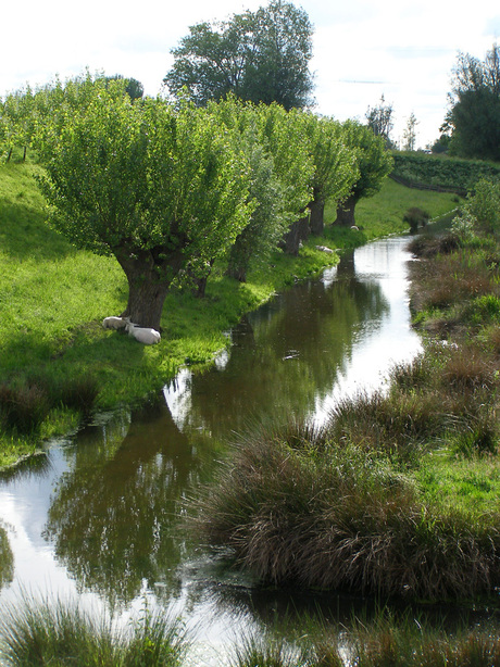 hollands landschap