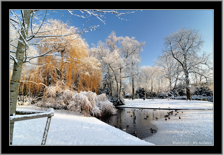 park in wintersfeer