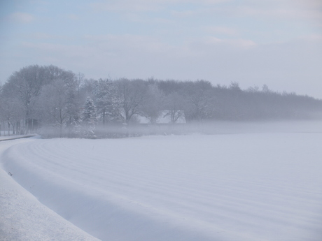 Misty and cold.